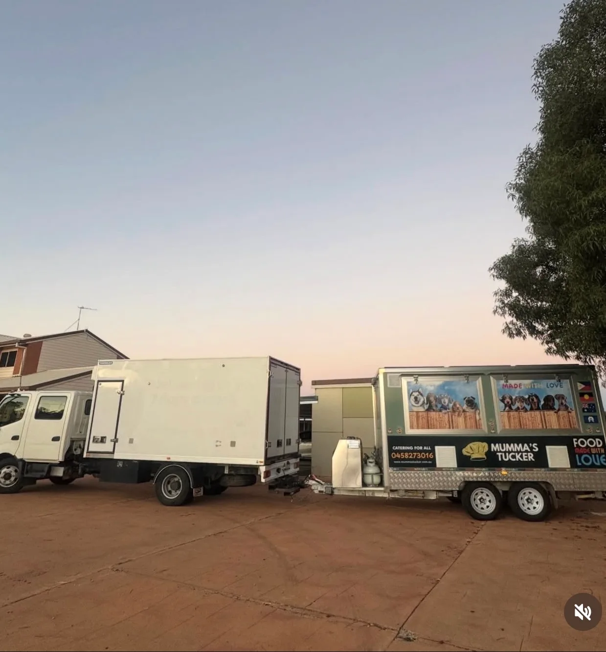Mumma's Tucker delivery fleet — two refrigerated trucks and the branded food trailer at dusk